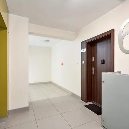 Lasek Marcelinski Comfy Poznań