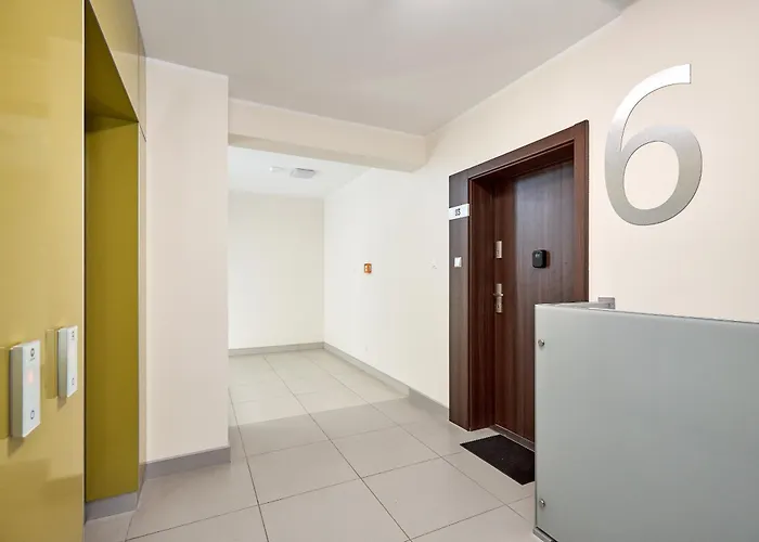 Lasek Marcelinski Comfy ポズナン